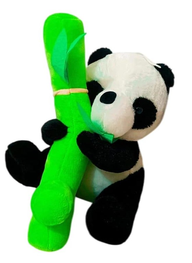 DTR Creation Bamboo Panda 29CM Soft Toys for Kids | Plush Soft Toys for Baby Boys and Girls| Best Gift | Bamboo Panda Soft Toy for Kids -Black/White 29Cm Height - Image 2